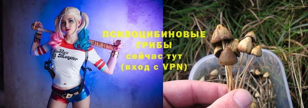 индика Бугульма