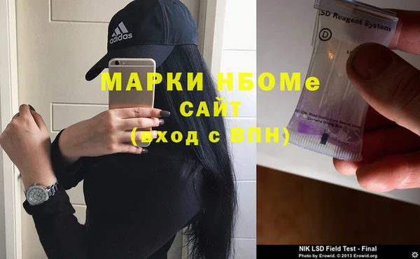 индика Бугульма