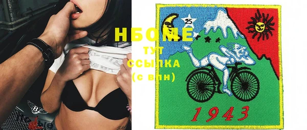 индика Бугульма