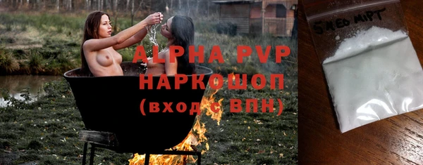 индика Бугульма