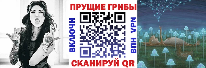 сайты даркнета формула  Александровское  Псилоцибиновые грибы ЛСД 