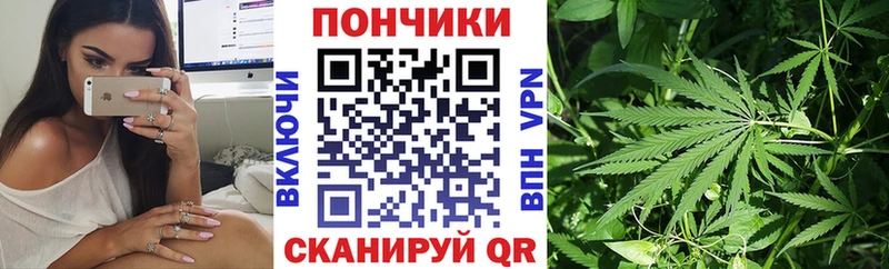 darknet клад  Александровское  Марихуана конопля 